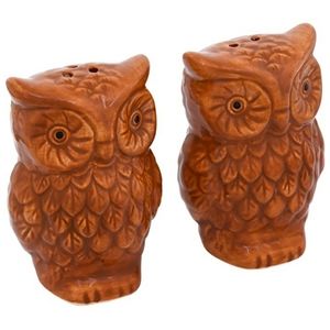Decorative Fall Owl Salt & Pepper Shakers Autumn